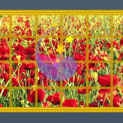 Afl. 9 | Stippels & Streepjes