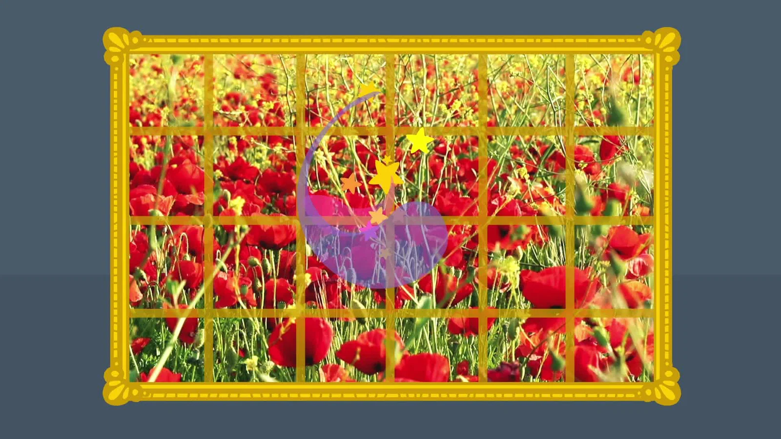 Afl. 9 | Stippels & Streepjes background