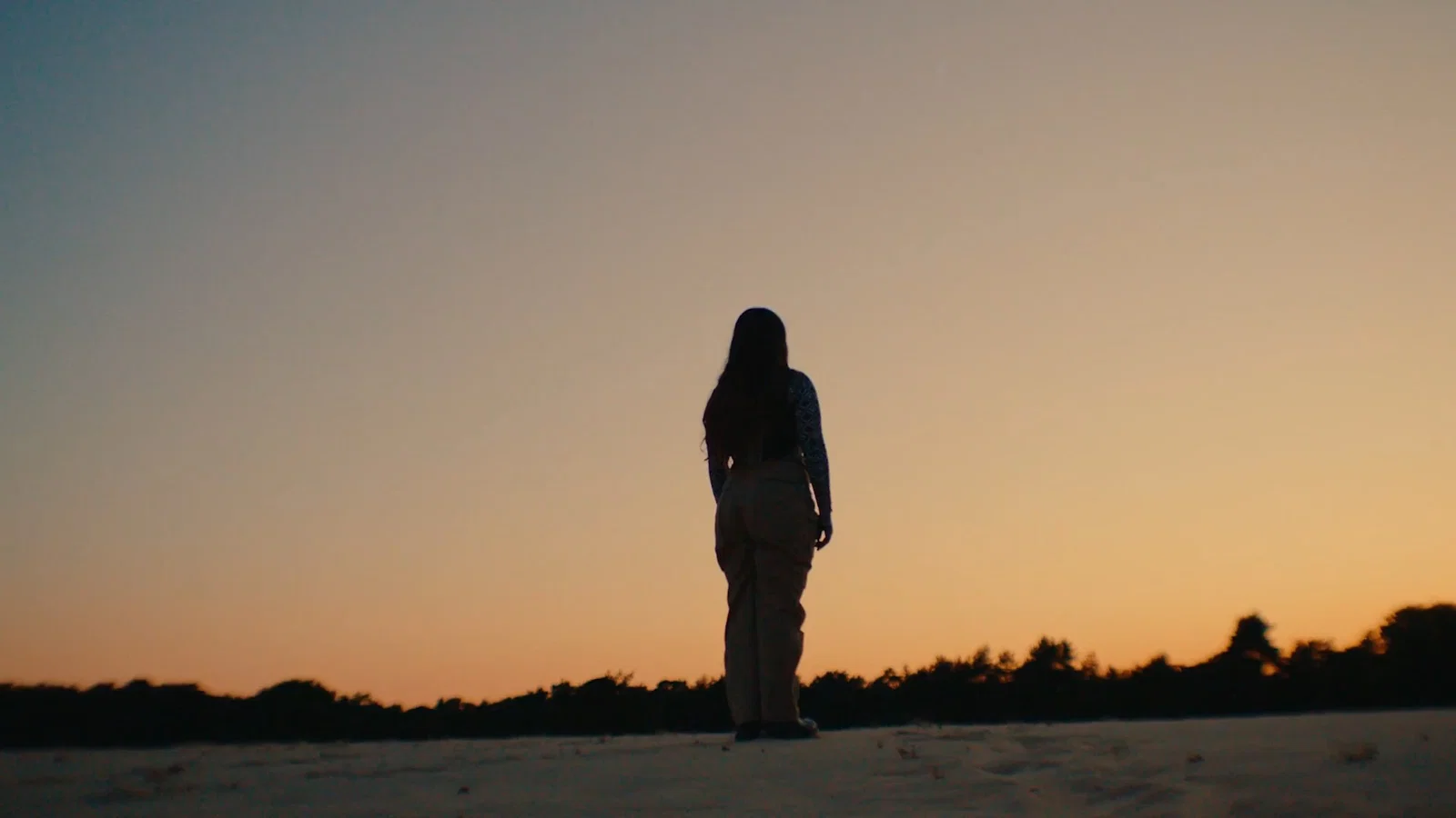 1000 Kansen background