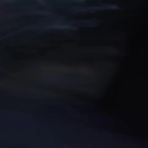 PVG