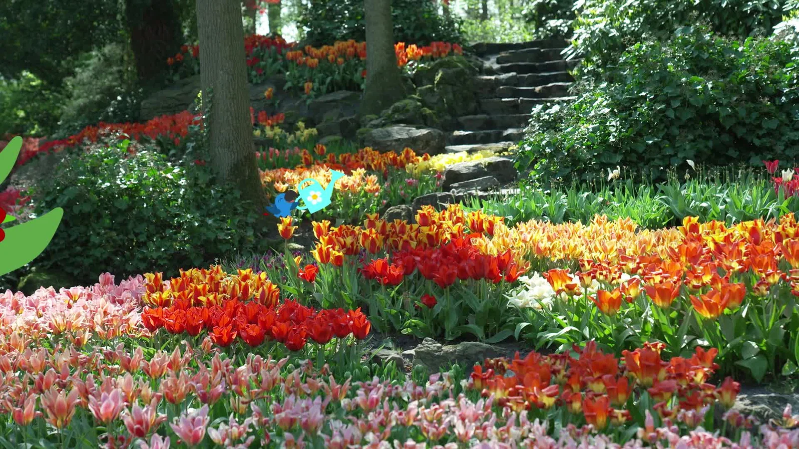 Afl. 1 | Tulp background